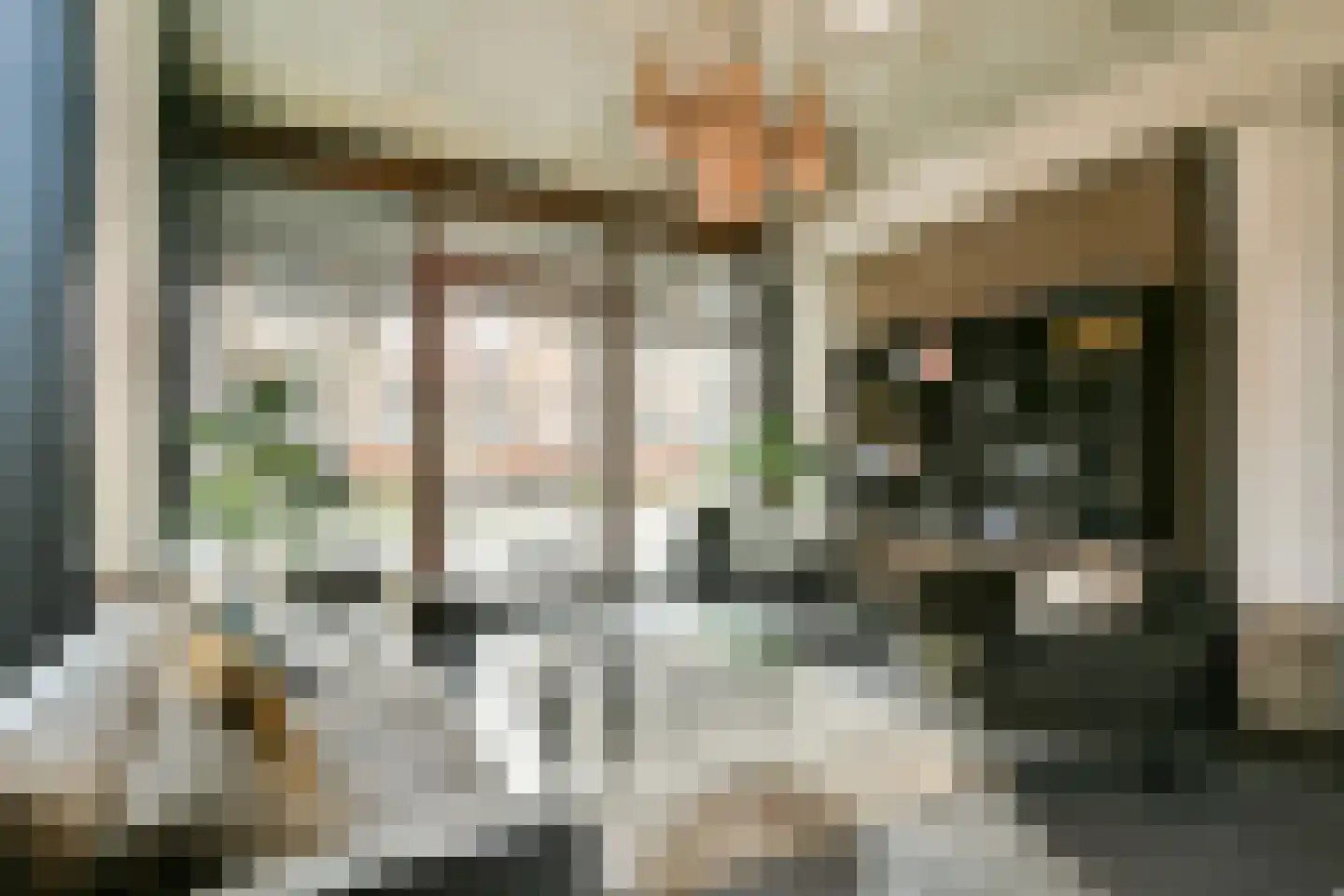 Eef Kamerbeekstraat 294 Amsterdam thumbnail 38