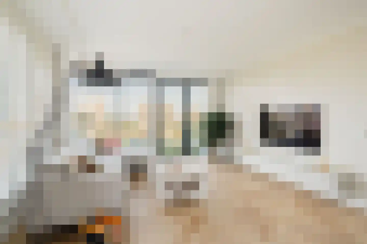 Eef Kamerbeekstraat 294 Amsterdam thumbnail 9