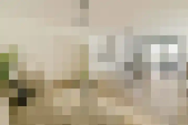 Eef Kamerbeekstraat 326 in Amsterdam