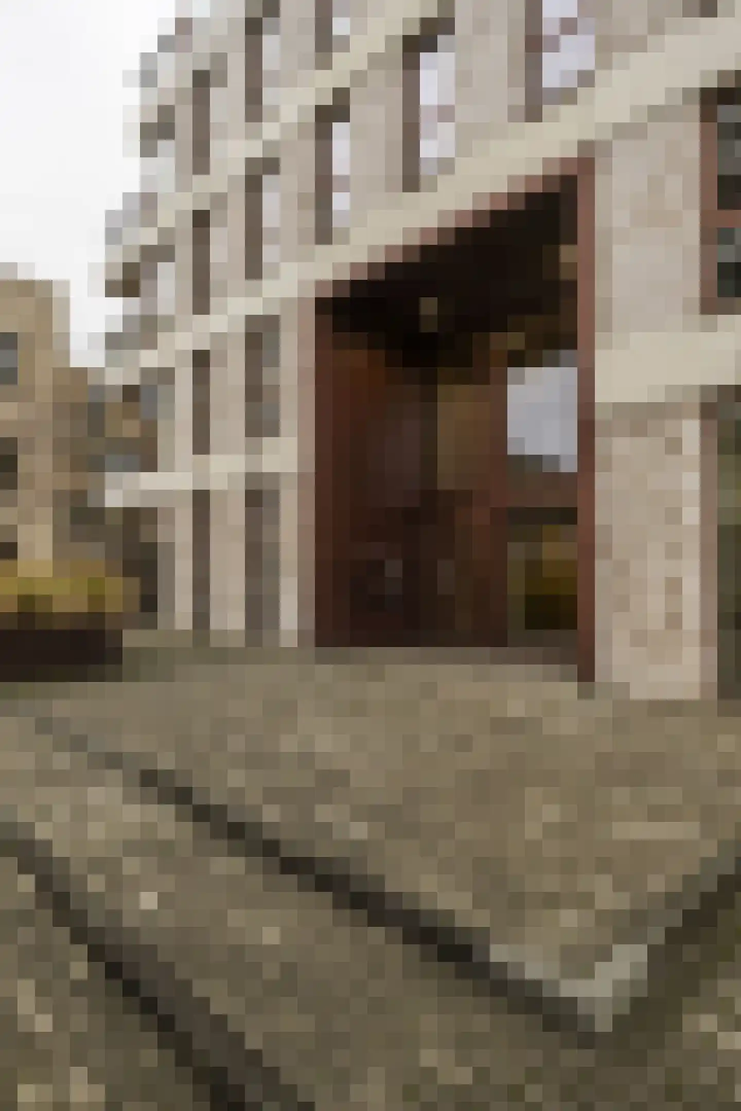 Eef Kamerbeekstraat 350 Amsterdam thumbnail 30