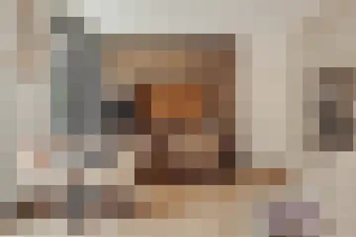 Eef Kamerbeekstraat 384 dans Amsterdam