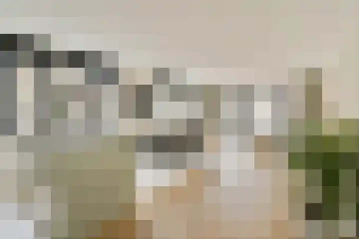 Eef Kamerbeekstraat 404 in Amsterdam