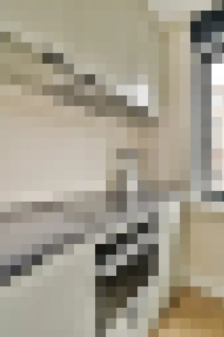 Eef Kamerbeekstraat 404 Amsterdam thumbnail 12