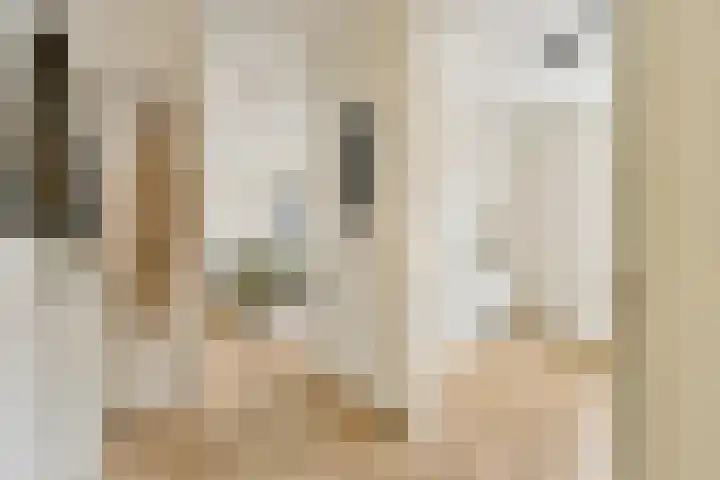Eef Kamerbeekstraat 404 Amsterdam thumbnail 16