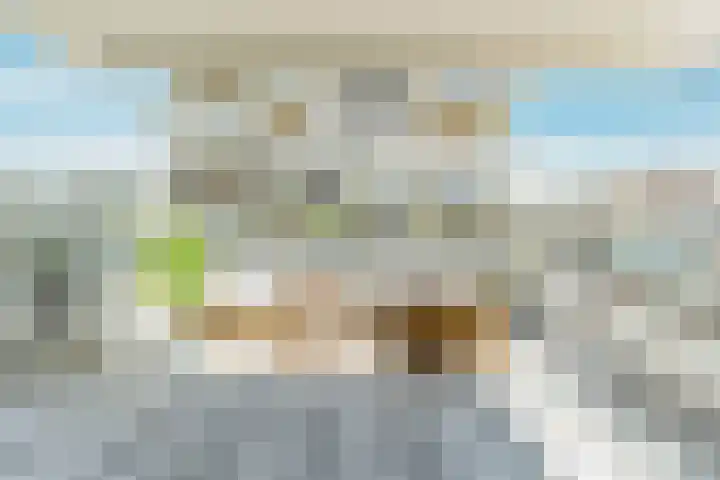 Eef Kamerbeekstraat 414 Amsterdam foto 3