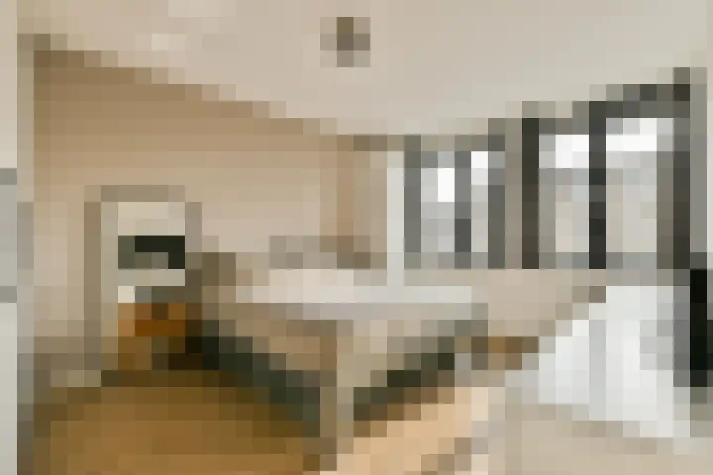 Eef Kamerbeekstraat 424 Amsterdam thumbnail 16