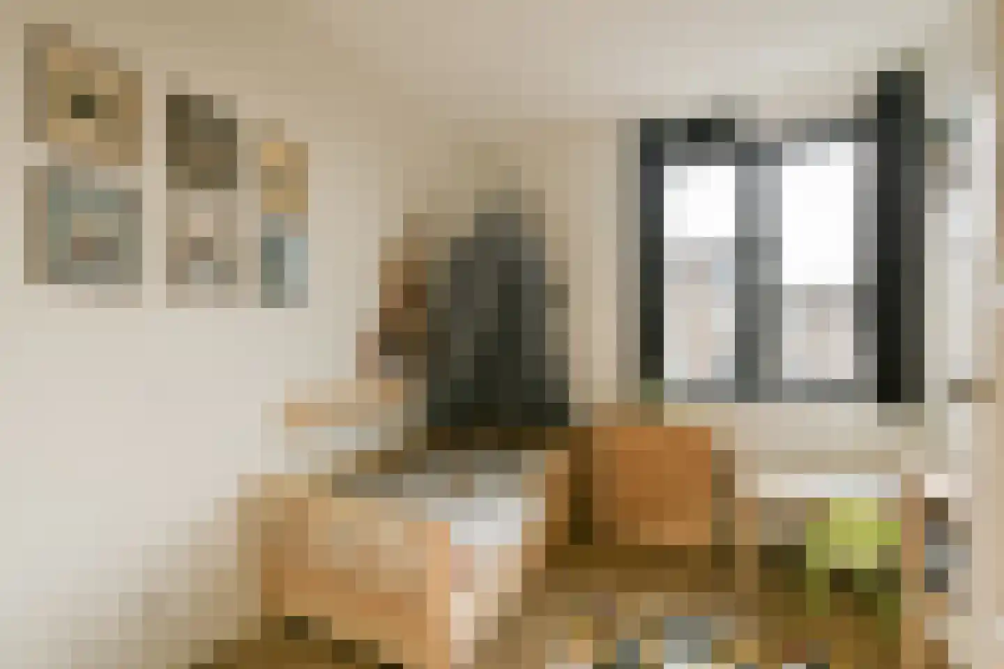 Eef Kamerbeekstraat 424 Amsterdam thumbnail 20
