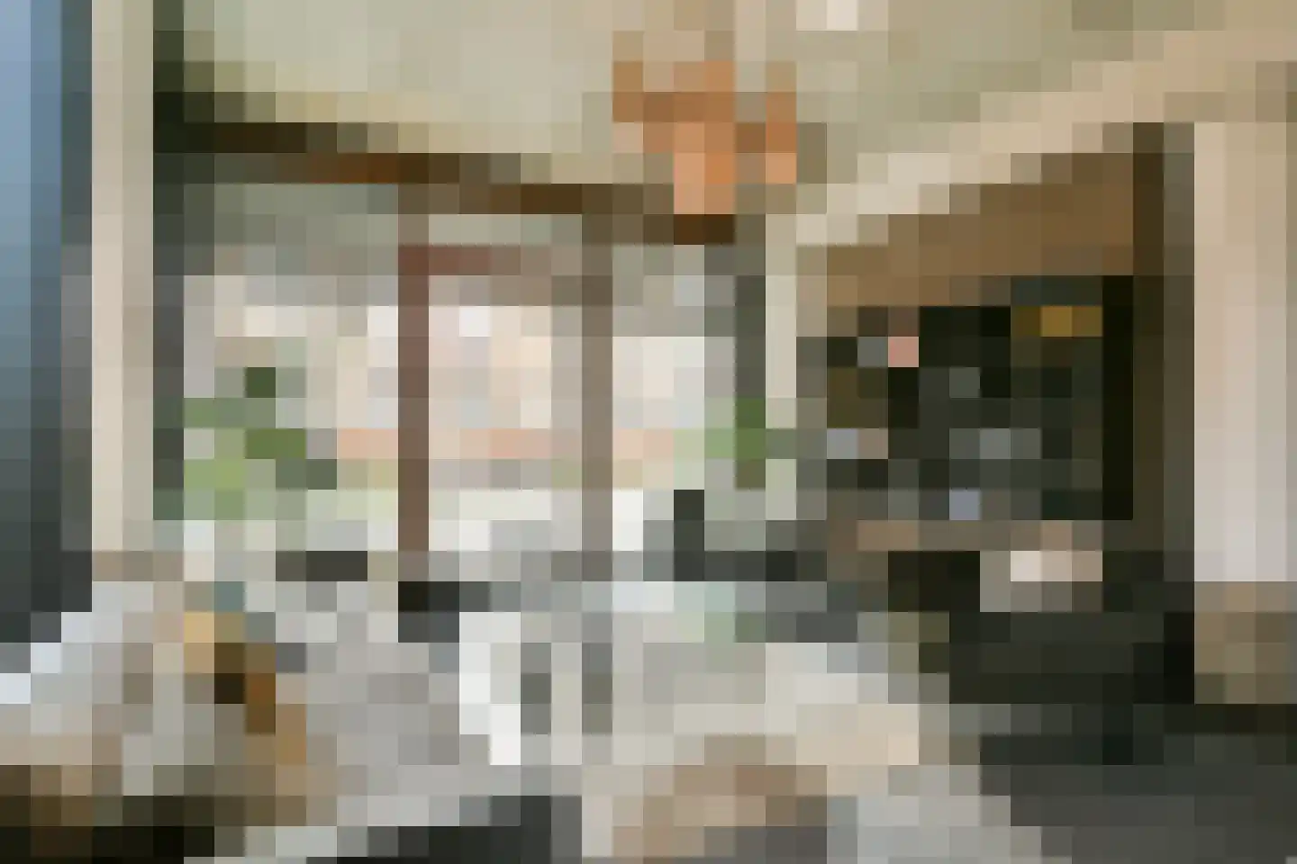 Eef Kamerbeekstraat 424 Amsterdam thumbnail 30