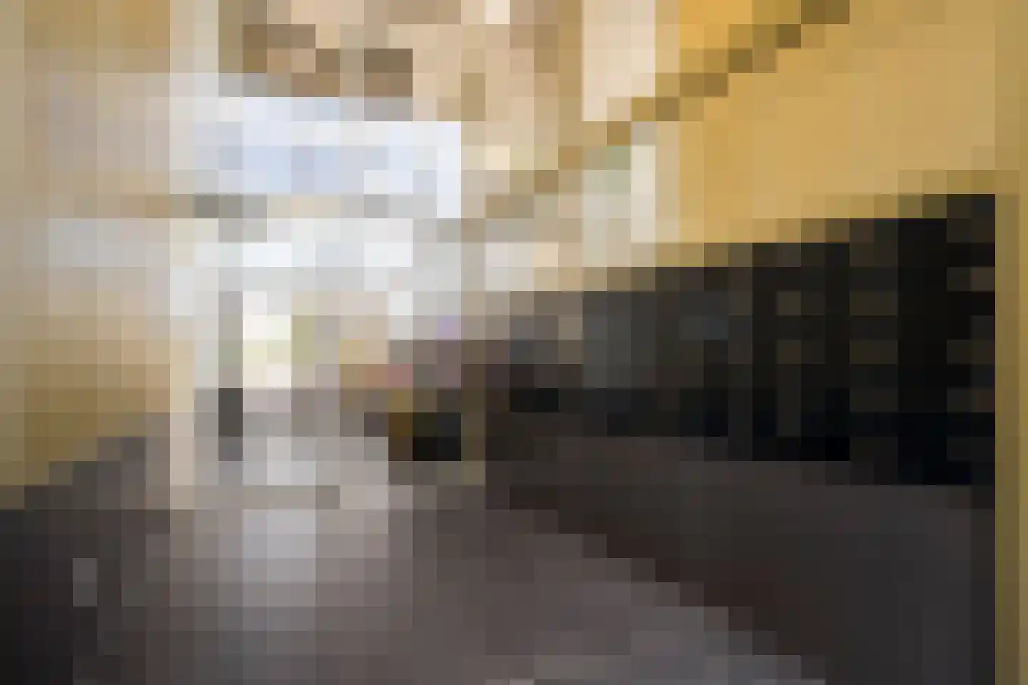 Eef Kamerbeekstraat 526 Amsterdam thumbnail 32