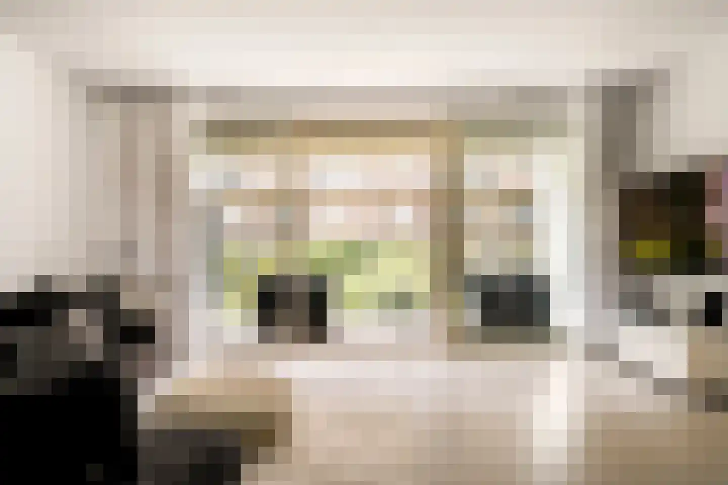 Eef Kamerbeekstraat 526 Amsterdam thumbnail 4