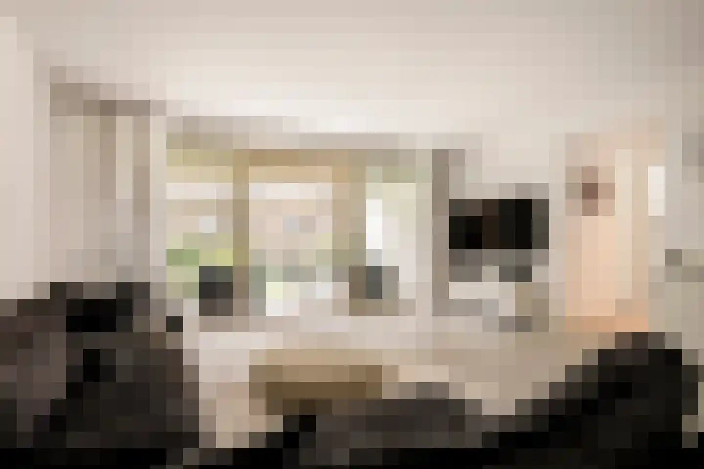 Eef Kamerbeekstraat 526 Amsterdam thumbnail 7
