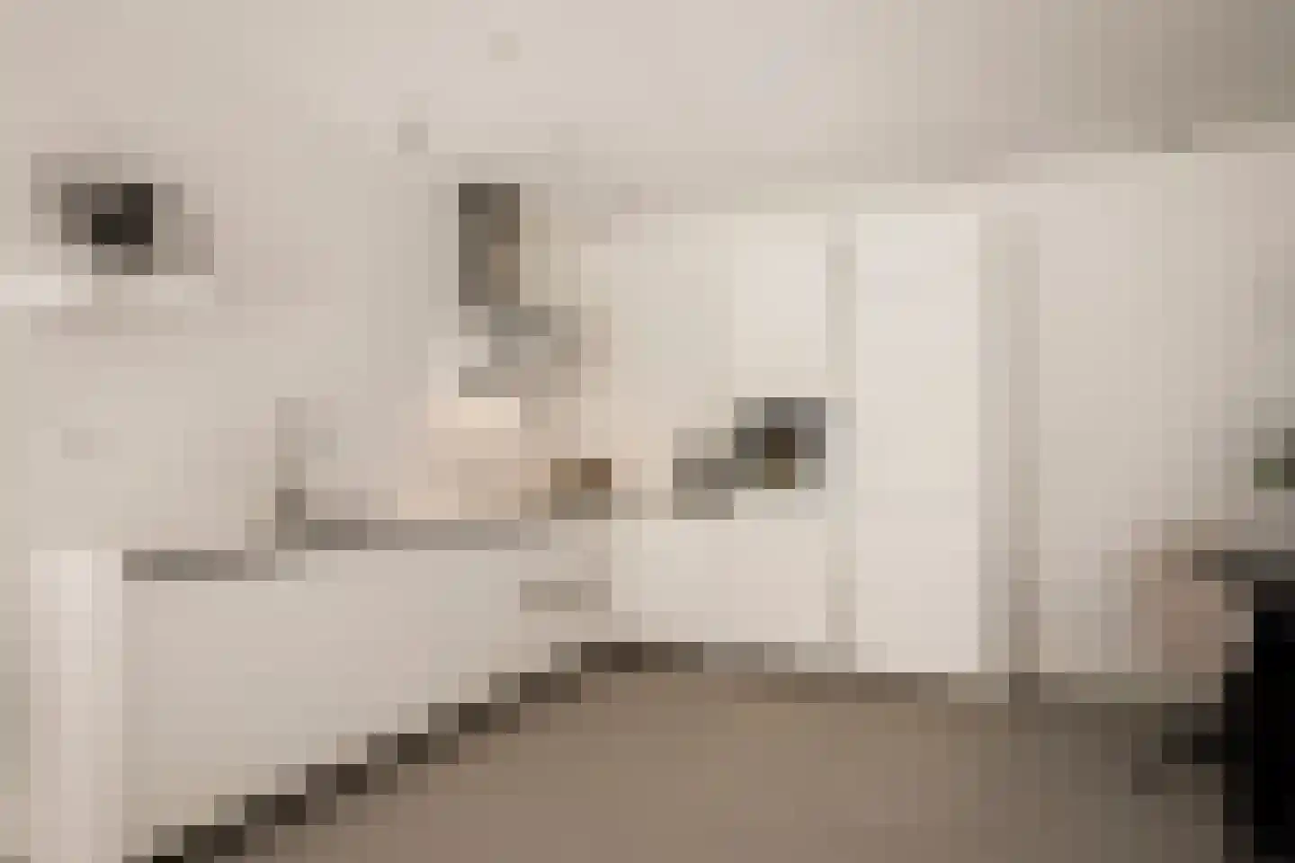 Eef Kamerbeekstraat 526 Amsterdam thumbnail 9