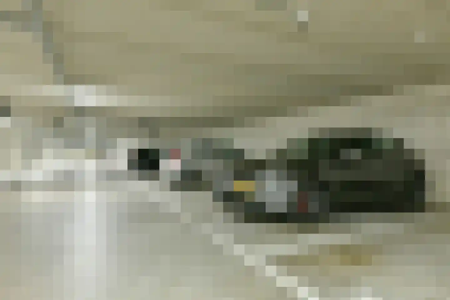 Eef Kamerbeekstraat 548 Amsterdam thumbnail 18