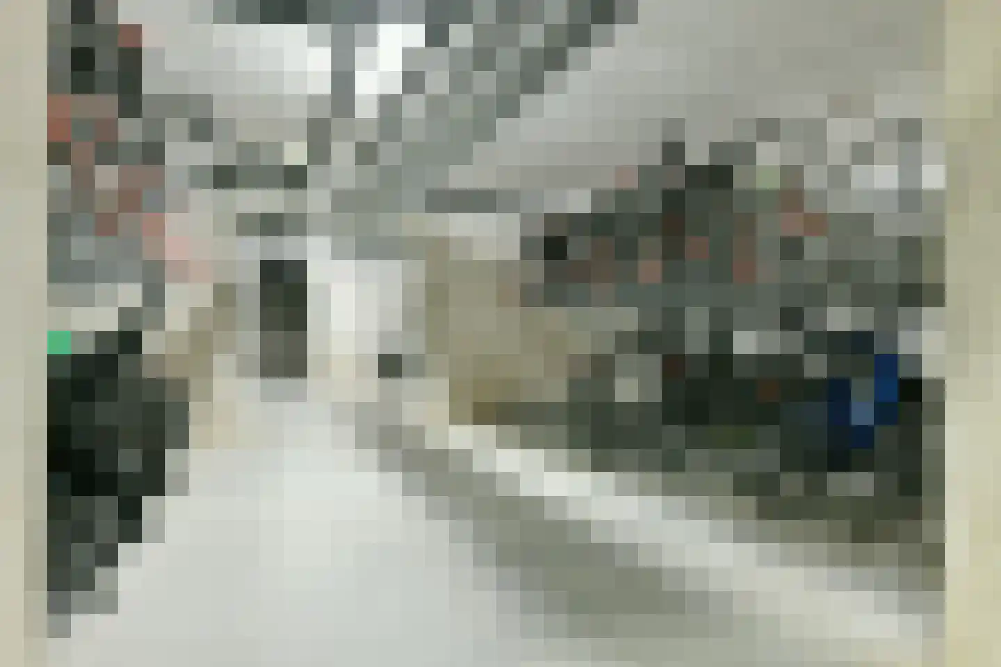 Eef Kamerbeekstraat 548 Amsterdam thumbnail 19
