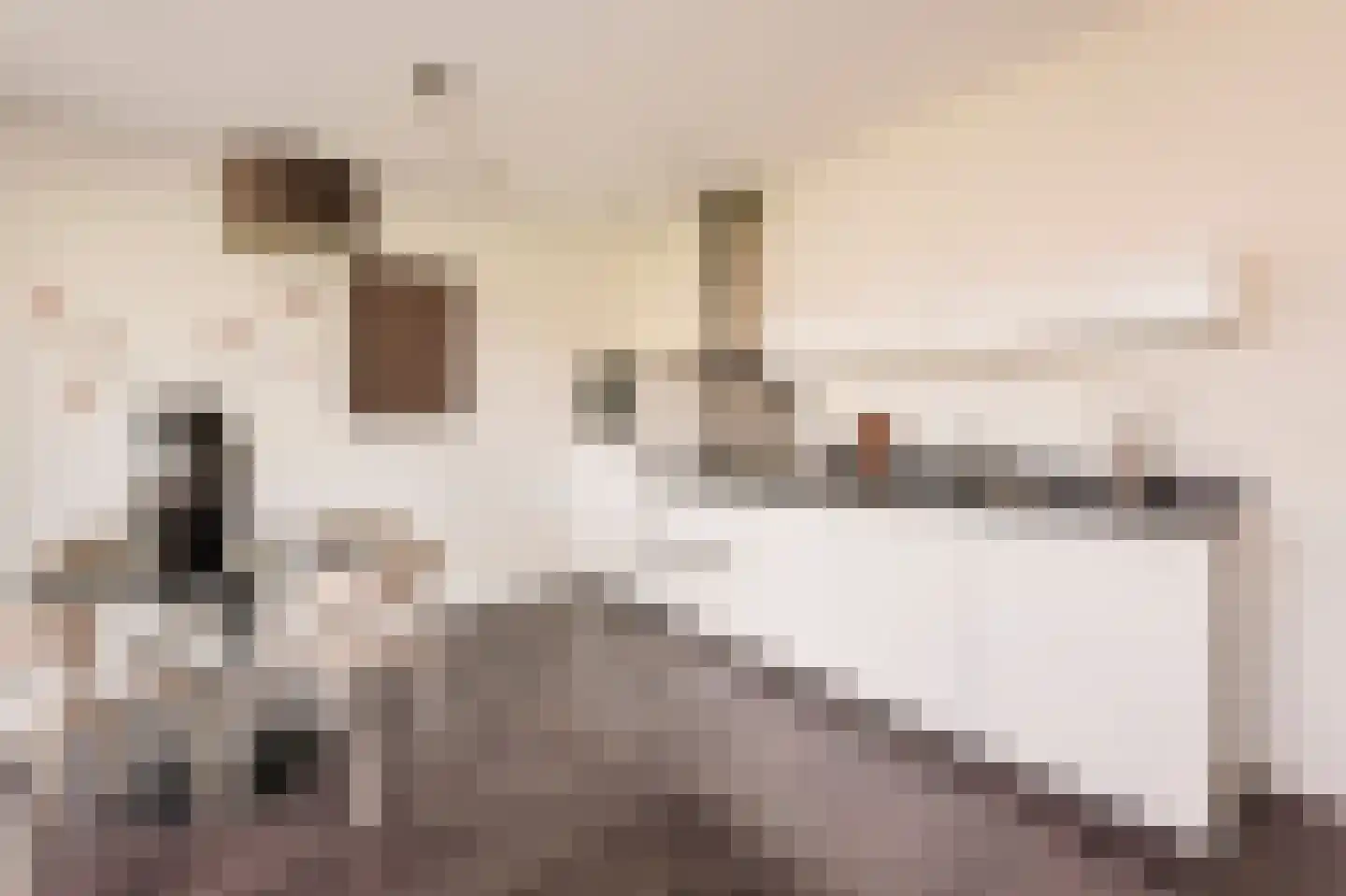 Eef Kamerbeekstraat 558 Amsterdam thumbnail 10