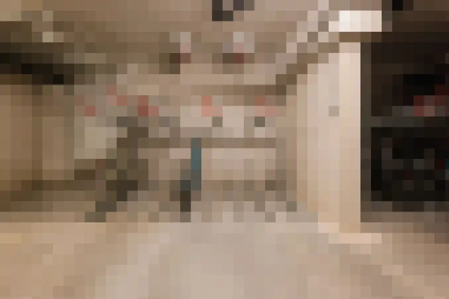 Eef Kamerbeekstraat 558 Amsterdam thumbnail 21