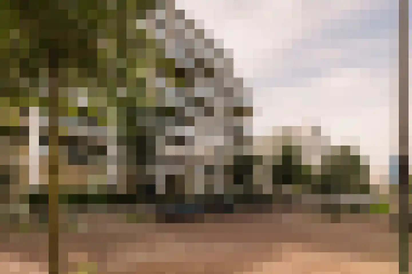 Eef Kamerbeekstraat 558 Amsterdam thumbnail 25