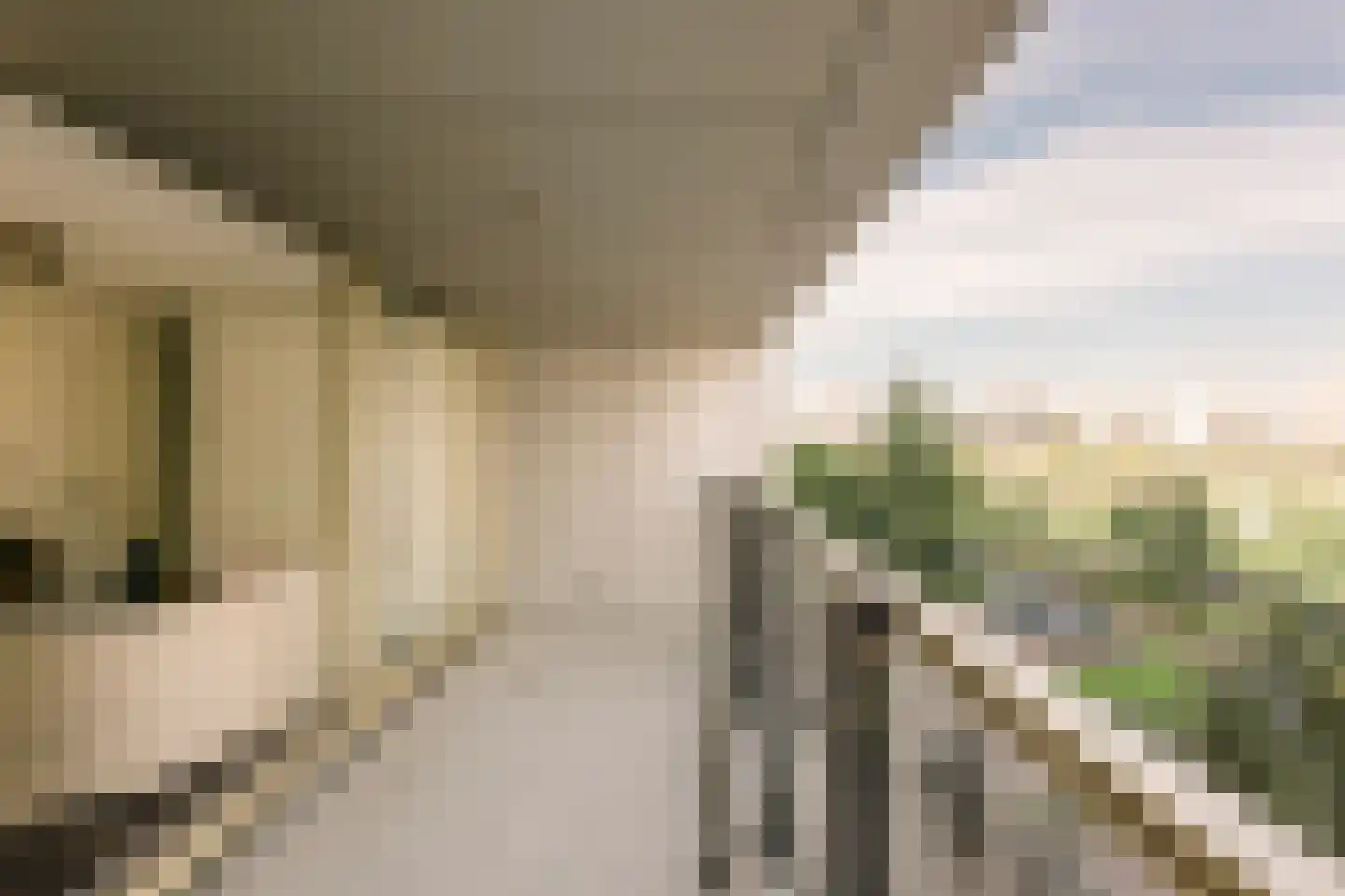 Eef Kamerbeekstraat 558 Amsterdam thumbnail 6