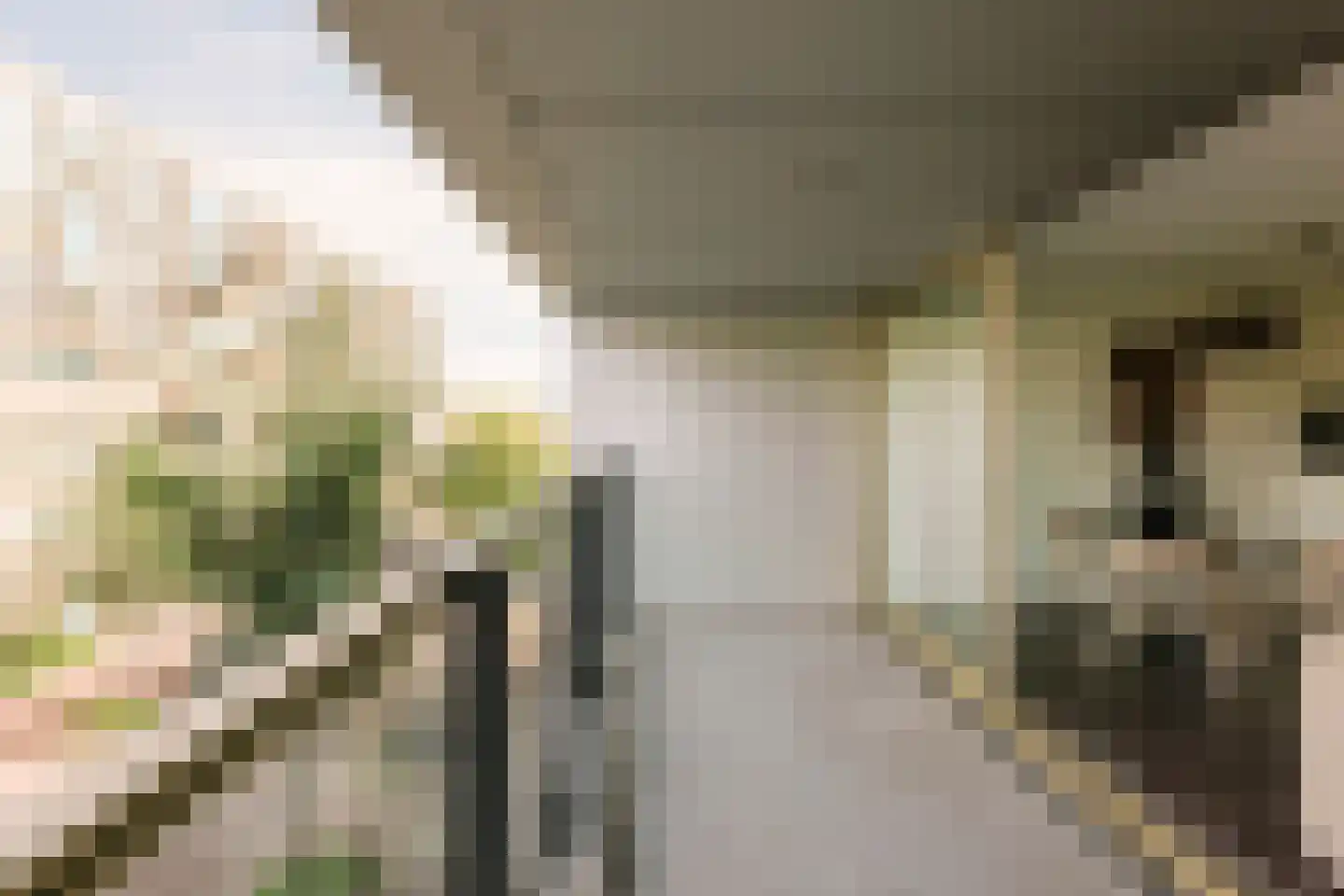 Eef Kamerbeekstraat 558 Amsterdam thumbnail 7