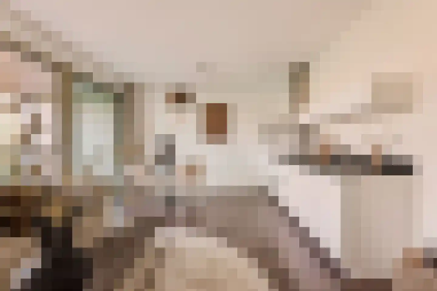 Eef Kamerbeekstraat 558 Amsterdam thumbnail 8