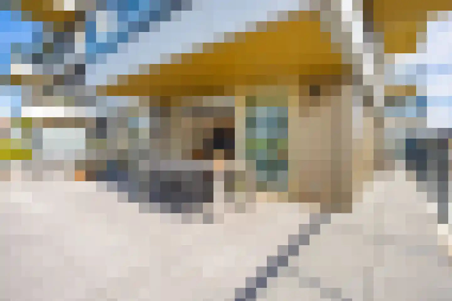 Eef Kamerbeekstraat 566 Amsterdam thumbnail 15