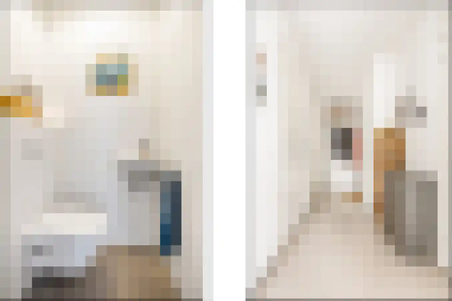 Eef Kamerbeekstraat 566 Amsterdam thumbnail 7