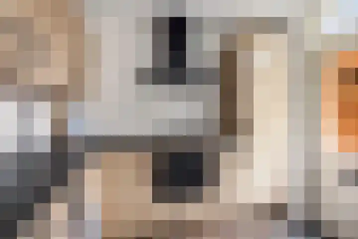 Eefdestraat 4 Deventer thumbnail 6