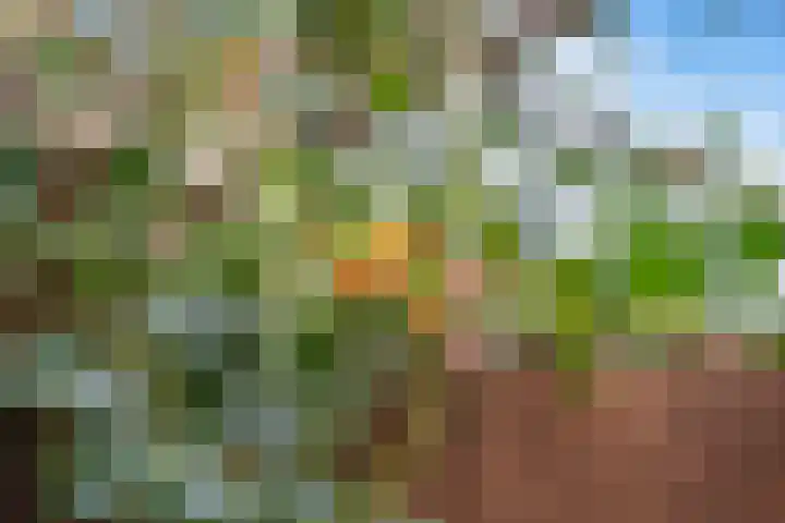 Eefsebeek 10 Zaandam thumbnail 10