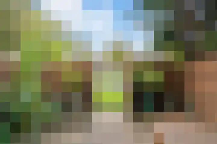 Eefsebeek 10 Zaandam thumbnail 11