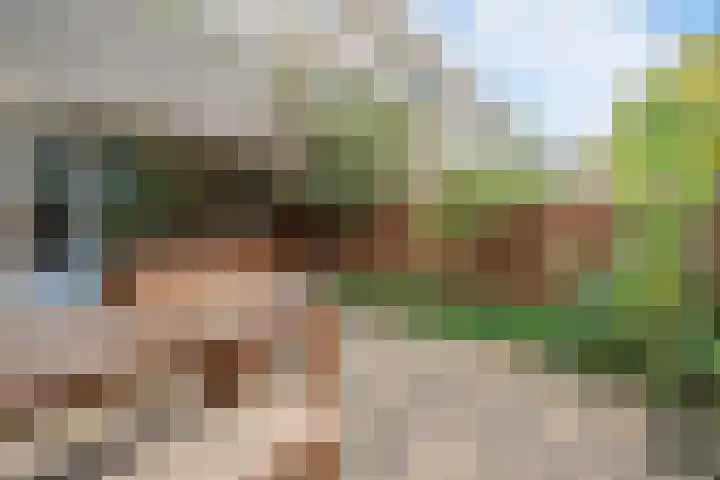 Eefsebeek 10 Zaandam thumbnail 12