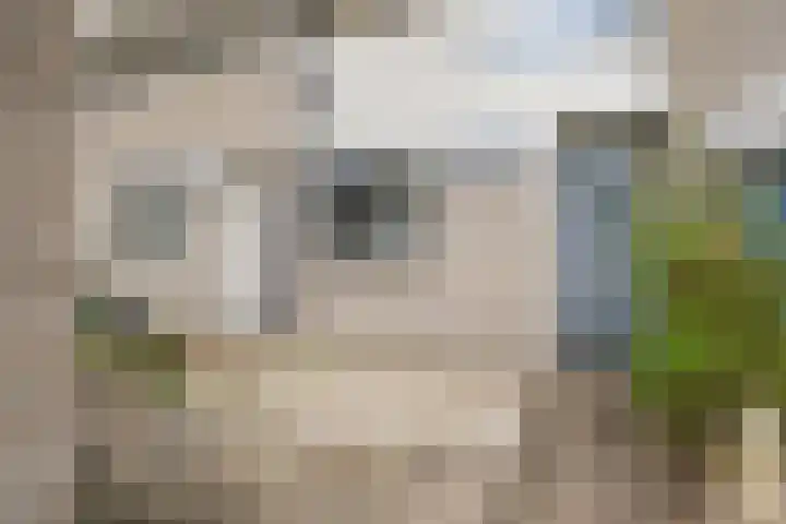 Eefsebeek 10 Zaandam thumbnail 29