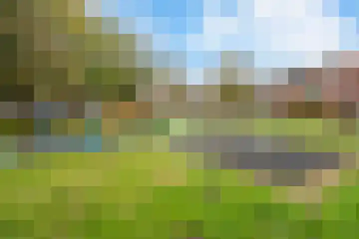 Eefsebeek 10 Zaandam thumbnail 30