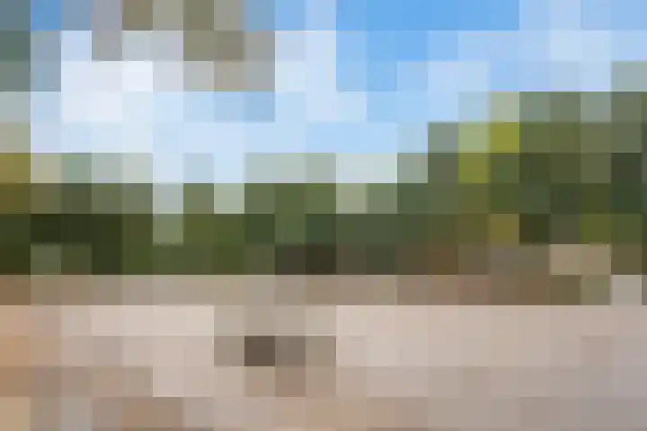 Eefsebeek 10 Zaandam thumbnail 33