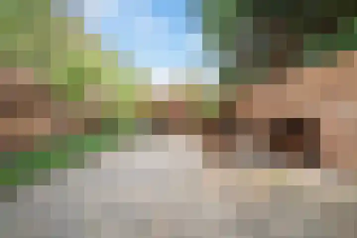 Eefsebeek 10 Zaandam thumbnail 9