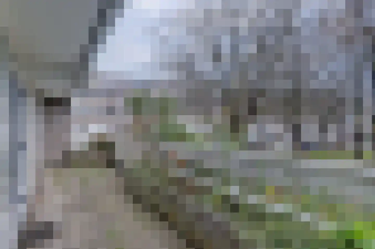 Eefsebeek 20 Zaandam thumbnail 22