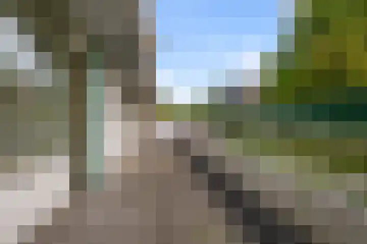 Eefsebeek 33 Zaandam thumbnail 10