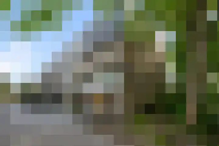 Eefsebeek 33 Zaandam thumbnail 22