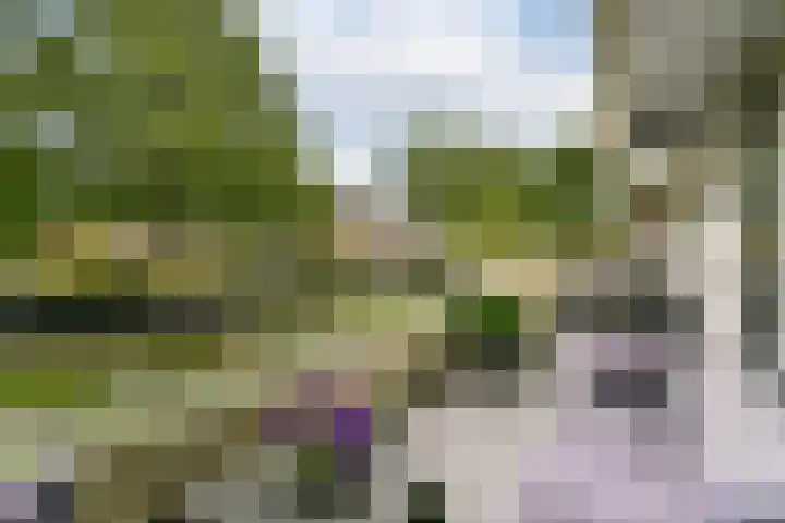 Eefsebeek 34 Zaandam thumbnail 19