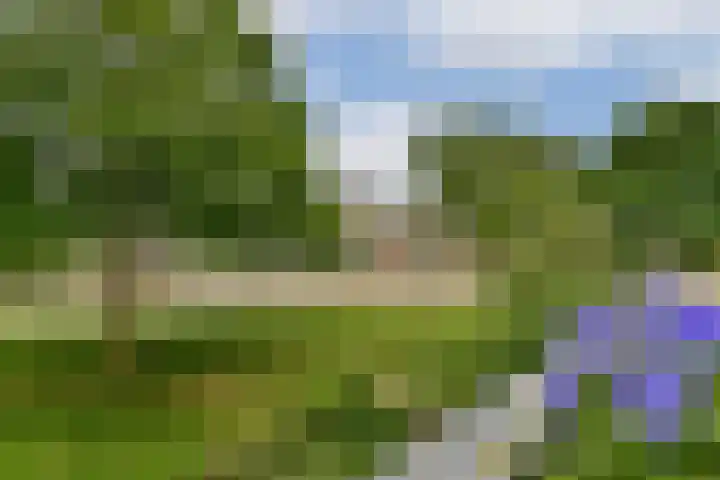Eefsebeek 34 Zaandam thumbnail 20
