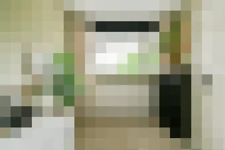 Eefsebeek 34 Zaandam thumbnail 28