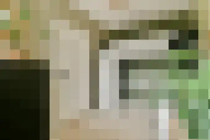 Eefsebeek 34 Zaandam thumbnail 29
