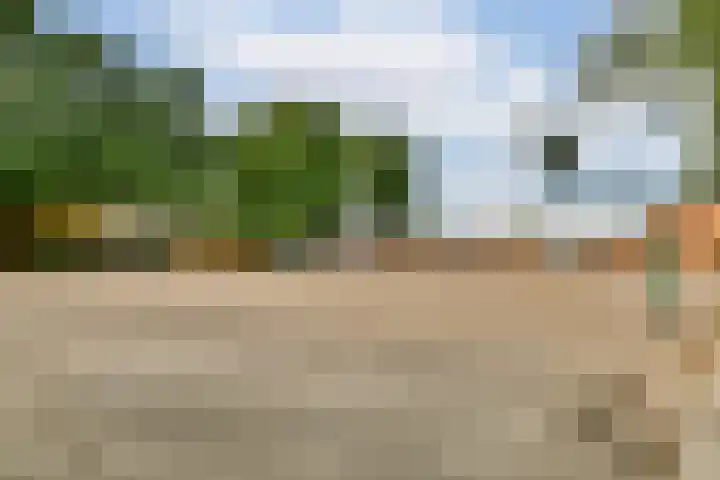 Eefsebeek 34 Zaandam thumbnail 31
