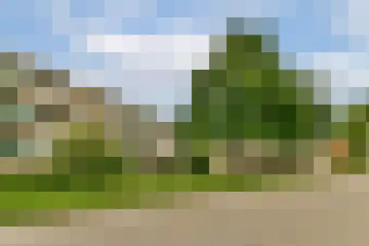 Eefsebeek 34 Zaandam thumbnail 5