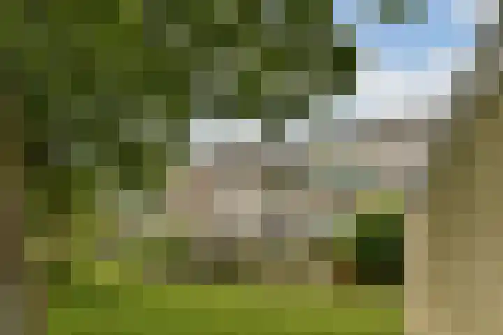 Eefsebeek 34 Zaandam thumbnail 6