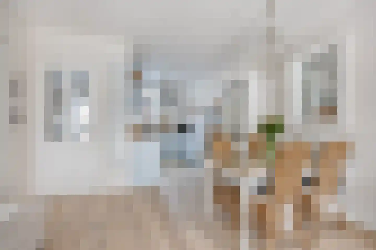 Eefsebeek 4 Zaandam thumbnail 6