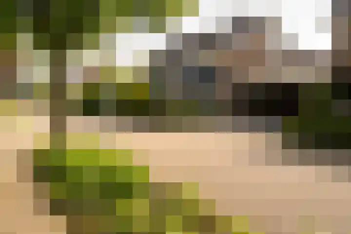Eeftinkstraat 15 Hengevelde thumbnail 5