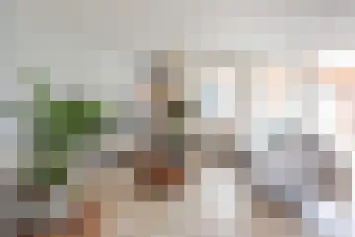 Eegracht 15 IJlst thumbnail 19