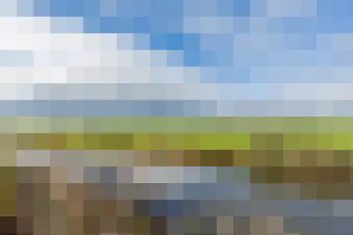 Eegracht 15 IJlst foto 3
