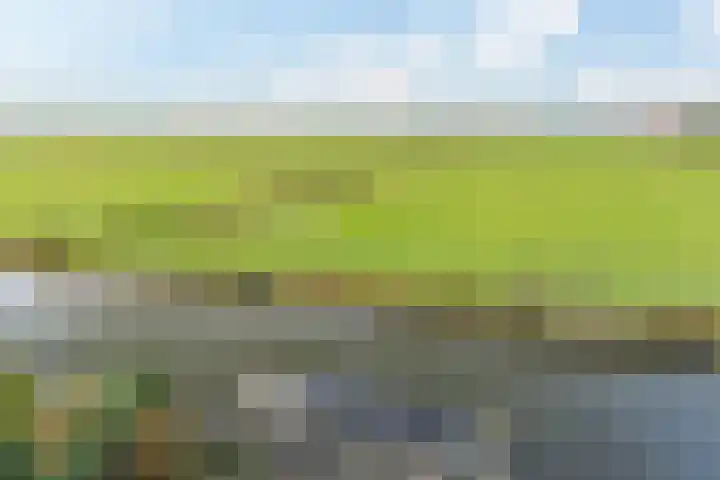Eegracht 15 IJlst thumbnail 41