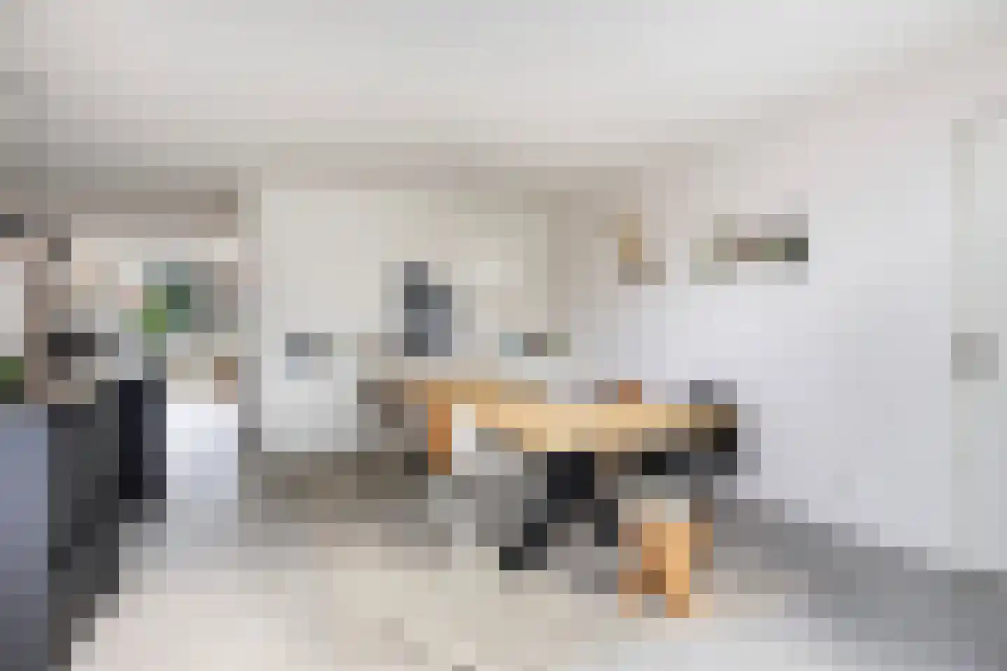 Eegracht 18 IJlst thumbnail 23